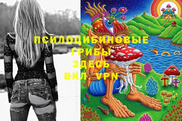прущий лед Вязники