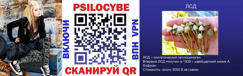 Псилоцибиновые грибы прущие грибы  Купить закладки  Минеральные Воды 